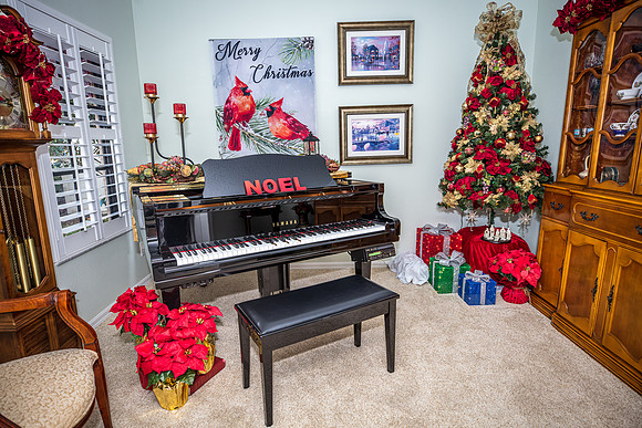 Celebration-Holiday-Home-Tour-2022_Stop5-1204-Downey-Pl-7164-