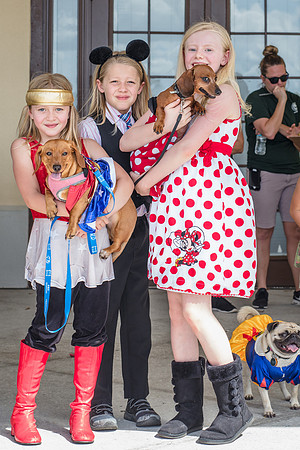 Celebration-Posh-Pooch-2367