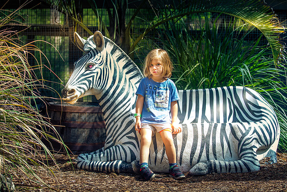 Wild Florida Airboats & Gator Park