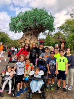 Disney's Animal Kingdom