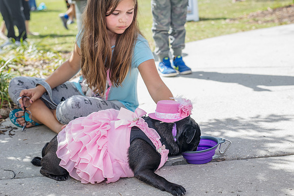 Celebration-Posh-Pooch-2363