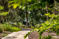 Leu Gardens Orlando