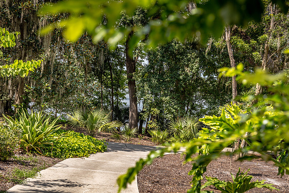 Leu Gardens Orlando