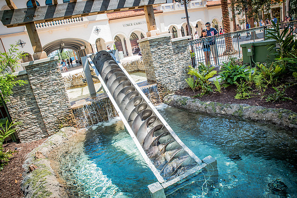 Disney-Springs-0986.jpg