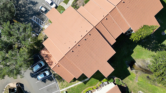 20241014-Blossom-Park-Villas-028-