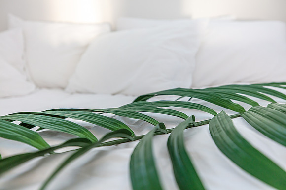 20220923-Reunion-Vacation-Home-4955interior-daybed