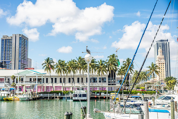 Miami-Millionaire-Row-Island-Queen-Cruise-3401