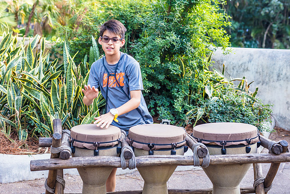 Disney's Animal Kingdom