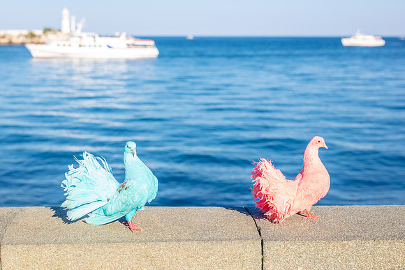 Crimea-Alushta-Yalta-9505dove