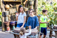 Disney's Animal Kingdom