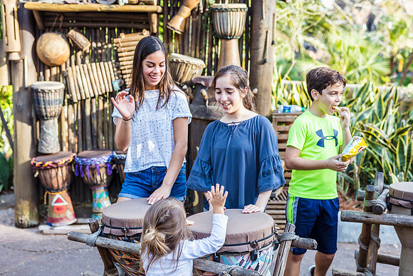 Disney's Animal Kingdom