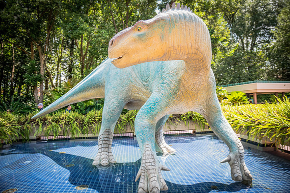 Disney-Animal-Kingdom-8543.jpg