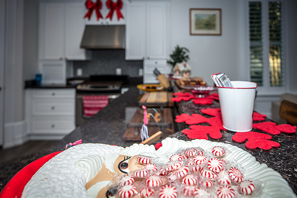 Celebration-Holiday-Home-Tour-2022_Stop4-515-Longmeadows-St-6802