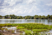 Leu Gardens Orlando