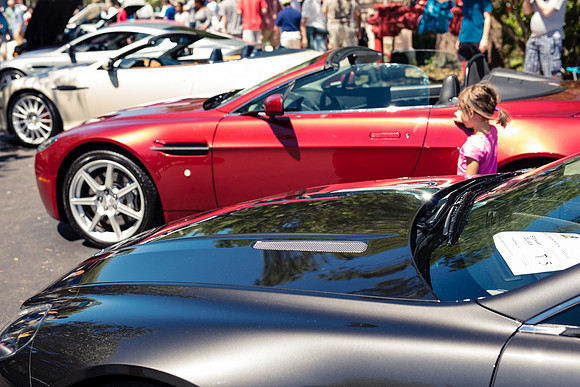Exotic_Car_Show_2017_Celebration-1188.jpg