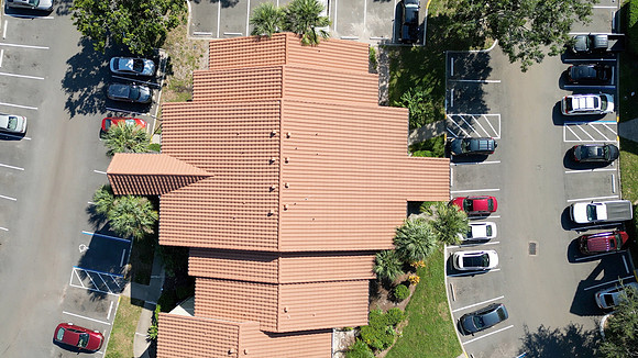 20241014-Blossom-Park-Villas-014