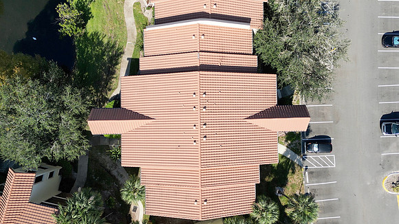 20241014-Blossom-Park-Villas-022-