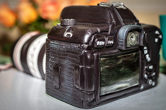 Camera-Birthday-Carrot-Cake-IM-1584