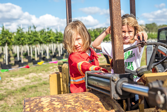 Southern Hill Farms - Fall Festival 2017