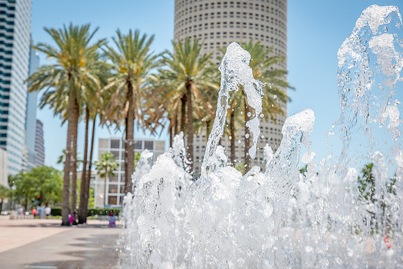 Tampa-7058.jpg