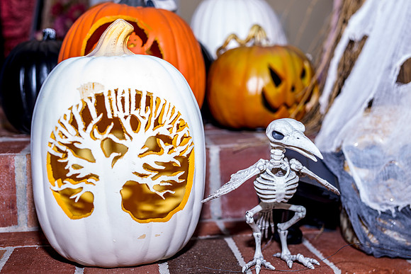 Halloween-Celebration-2279
