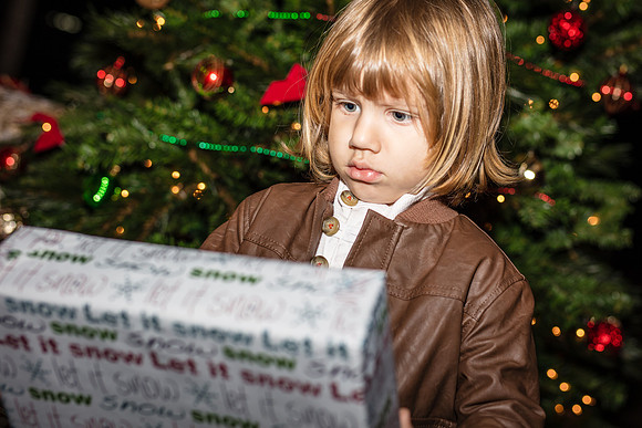 Green-Meadows-Farm-Christmas-Trail-7102.jpg