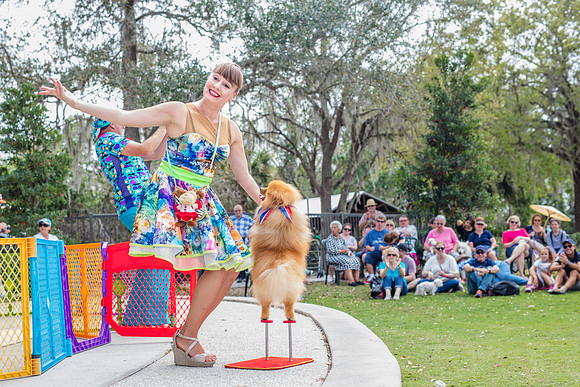 Celebration-Posh-Pooch-2226