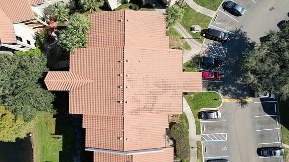 20241014-Blossom-Park-Villas-011