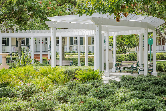 Celebration-3422.jpg