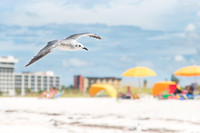 St-Pete-Beach-FL-0234.jpg