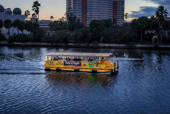 Tampa-3984