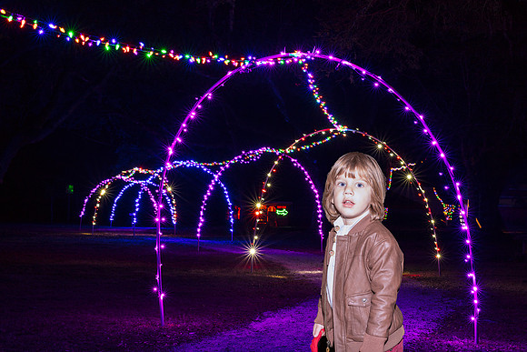 Green-Meadows-Farm-Christmas-Trail--4.jpg