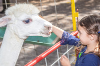 Green-Meadows-Farm-5864.jpg