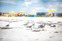 St-Pete-Beach-FL-0227.jpg