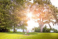 Leu Gardens Orlando