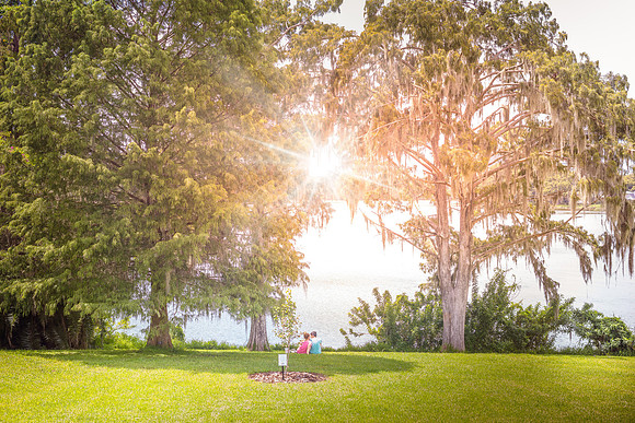 Leu Gardens Orlando