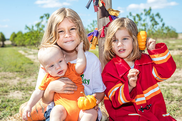 Southern Hill Farms - Fall Festival 2017