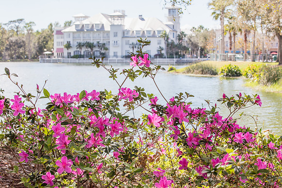 Celebration_Spring-0291.jpg