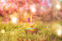 1st-birthday-2749