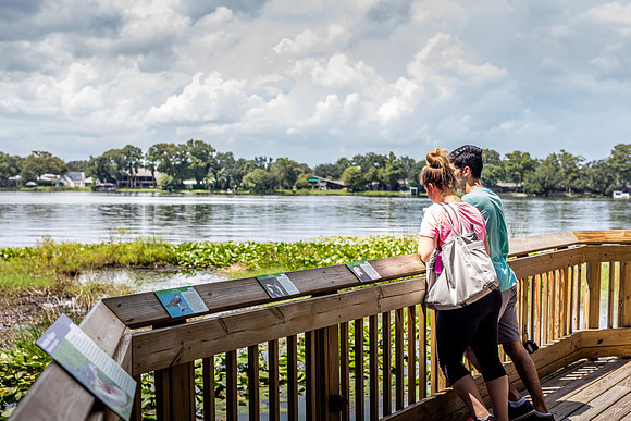 Leu Gardens Orlando