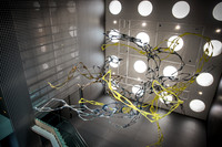 Tampa-Museum-of-Art-6630.jpg