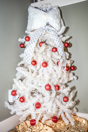 Celebration-Holiday-Home-Tour-2022_Stop1-506-Longmeadows-St-7075