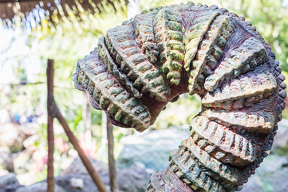 Pandora-Disney-Animal-Kingdom-2753.jpg