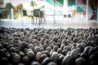 Tampa-Museum-of-Art-6632.jpg